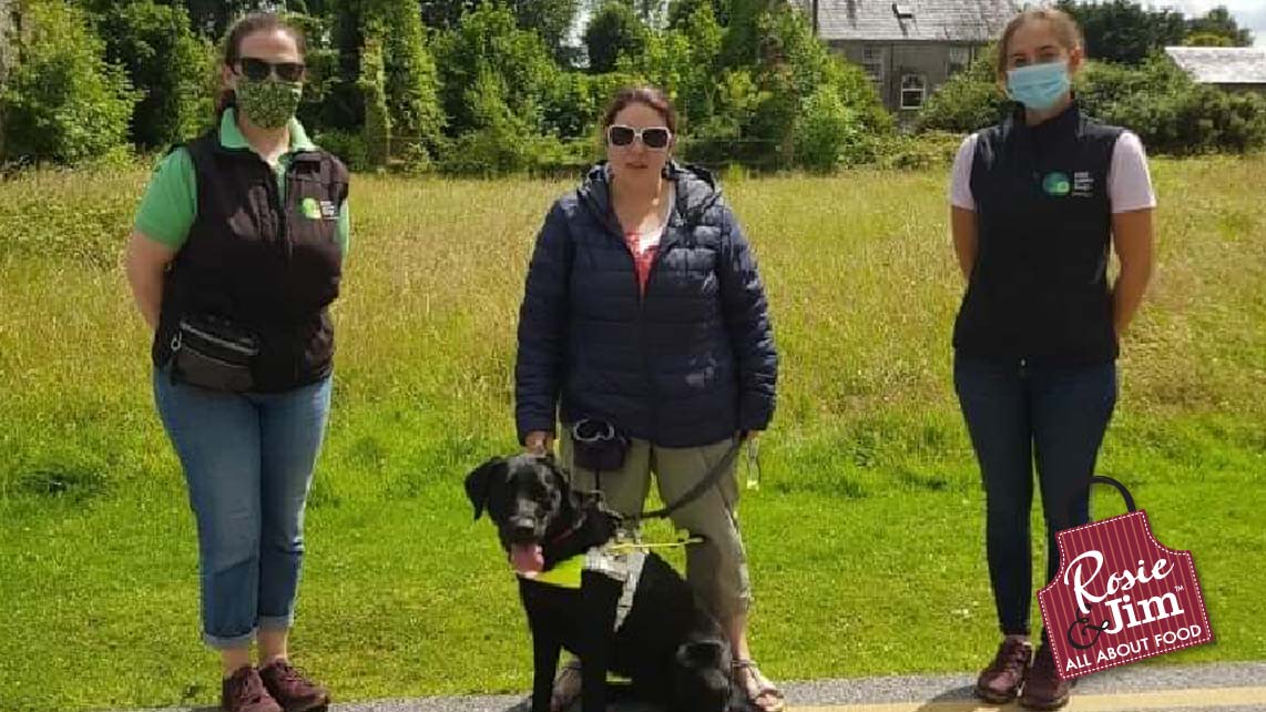 Izzy - Irish Guide Dogs - graduates