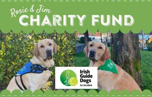 Community Charity - Pepe and Percy - Irish Guide Dogs for the Blind